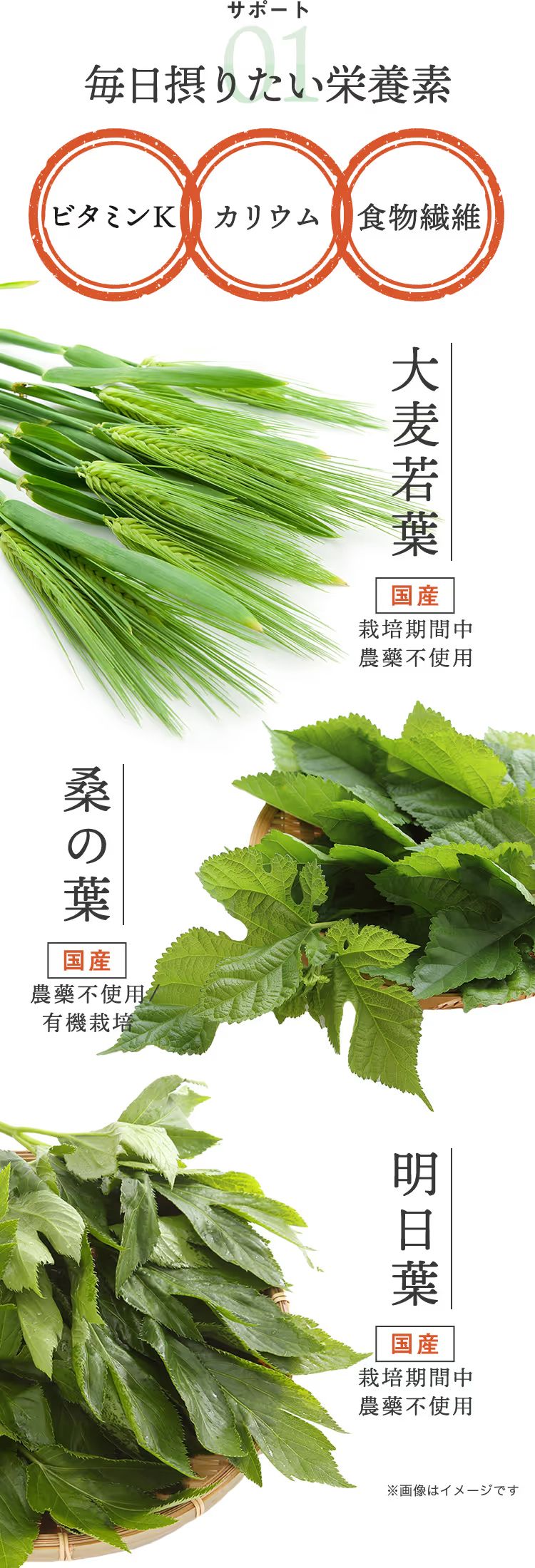 毎日摂りたい栄養素 ビタミン ミネラル 食物繊維 国産 大麦若葉 桑の葉 明日葉