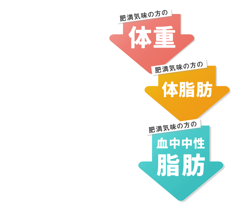 肥満気味の方の 体重 体脂肪 血中中性脂肪 これらの改善をサポートする機能性関与成分配合
                  